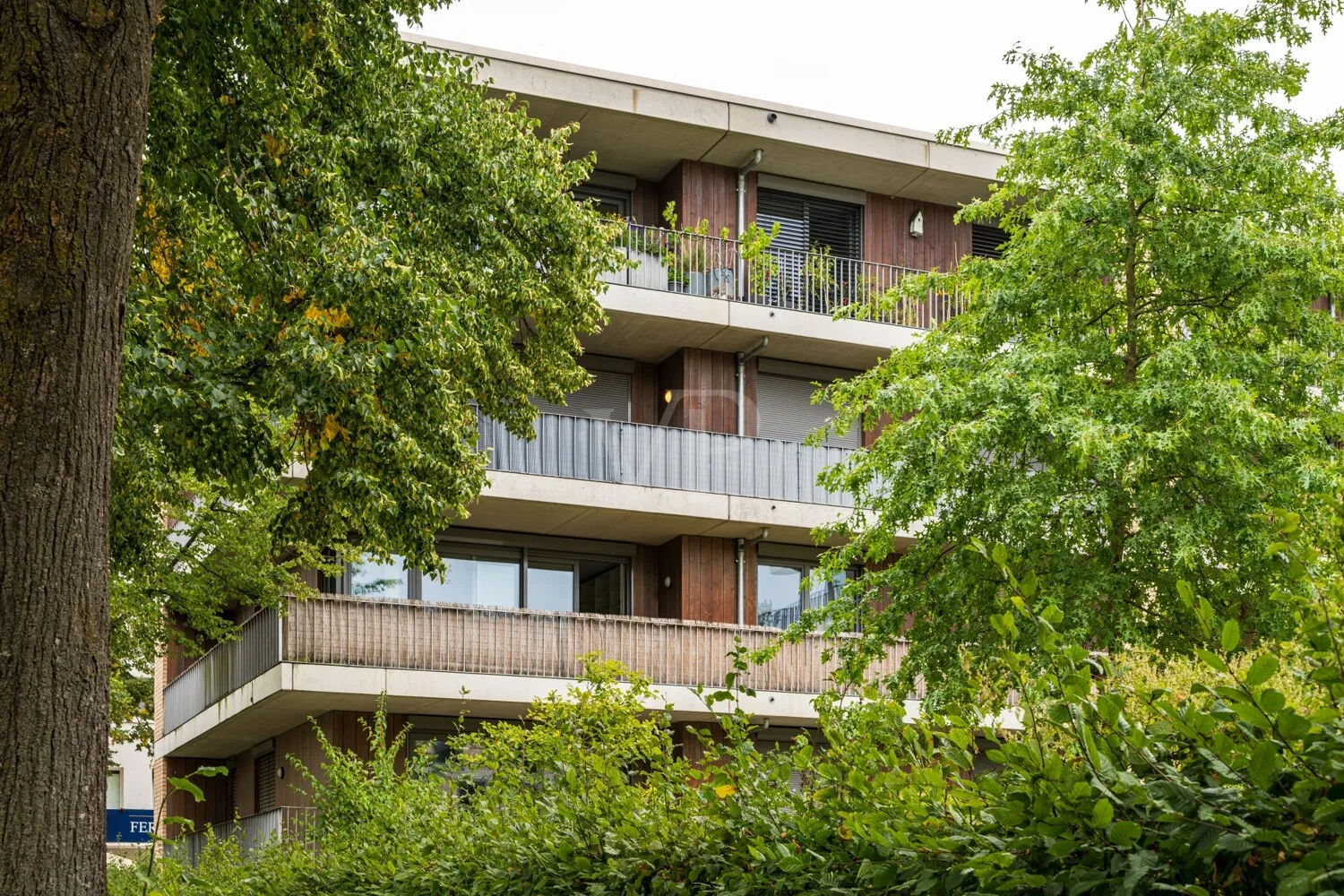 ANSICHT | TERRASSE