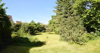 von_poll_real_estate_property_25123012_image_8