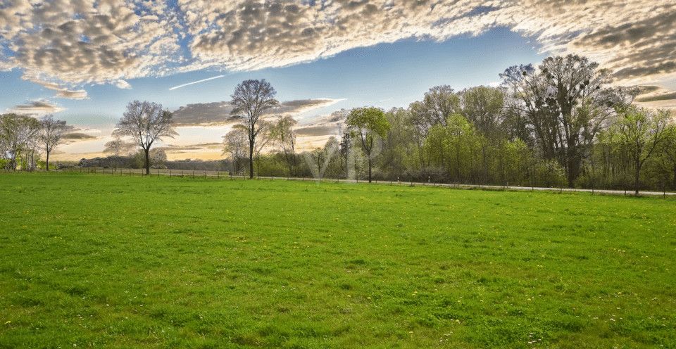 BLICK VOM GRUNDSTÜCK