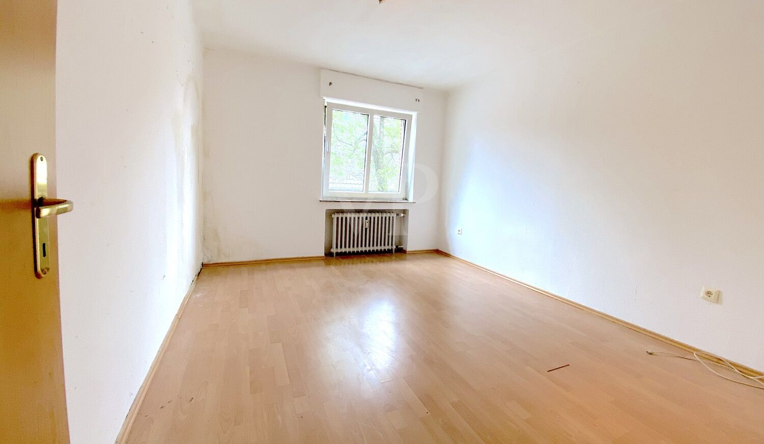 DG Büro