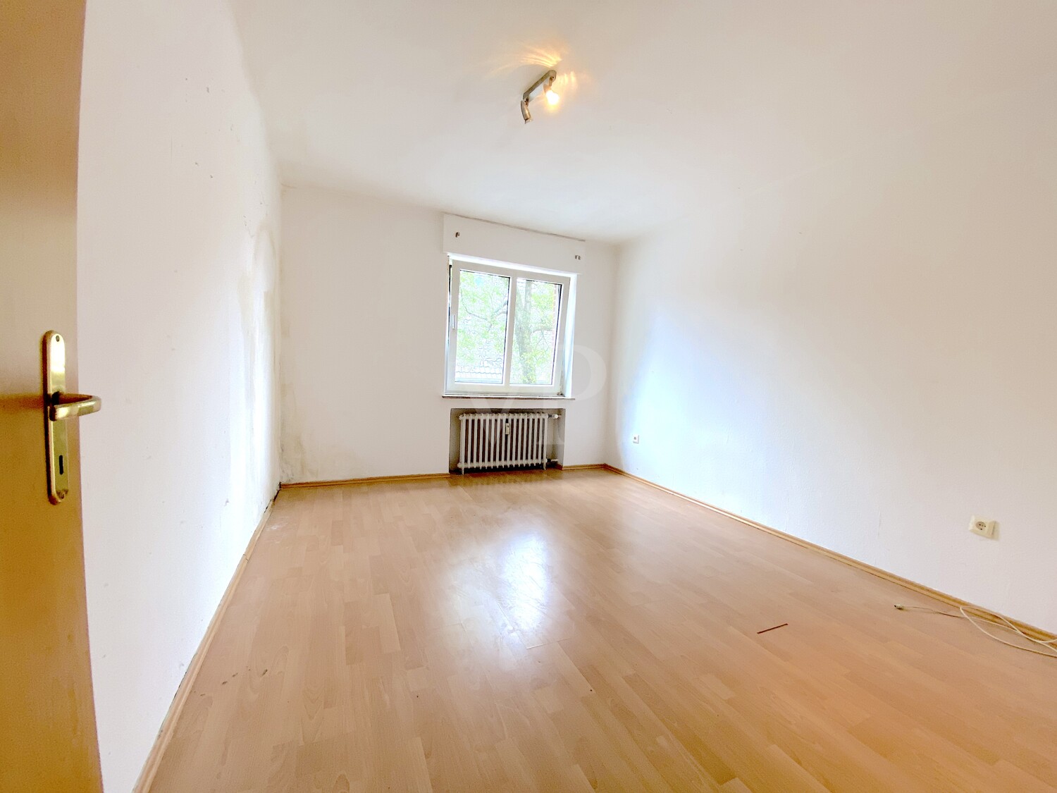 DG Büro