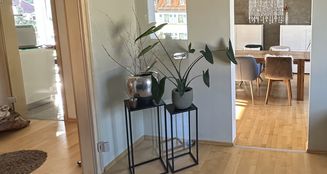 von_poll_real_estate_property_25223036_image_18