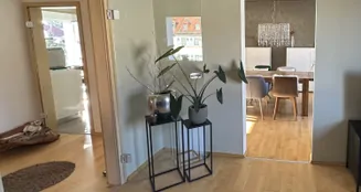 von_poll_real_estate_property_25223036_image_18