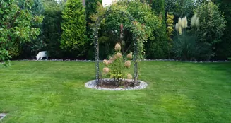 von_poll_real_estate_property_25223036_image_10