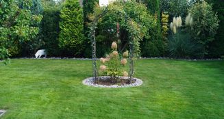 von_poll_real_estate_property_25223036_image_10