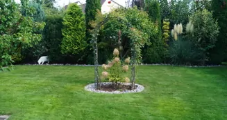 von_poll_real_estate_property_25223036_image_11