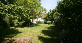 von_poll_real_estate_property_26223004_image_3