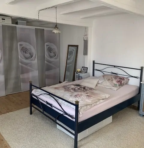 Denkmalgeschützes Kleinod komplett saniert 2012 im Stadtkern von Trebur