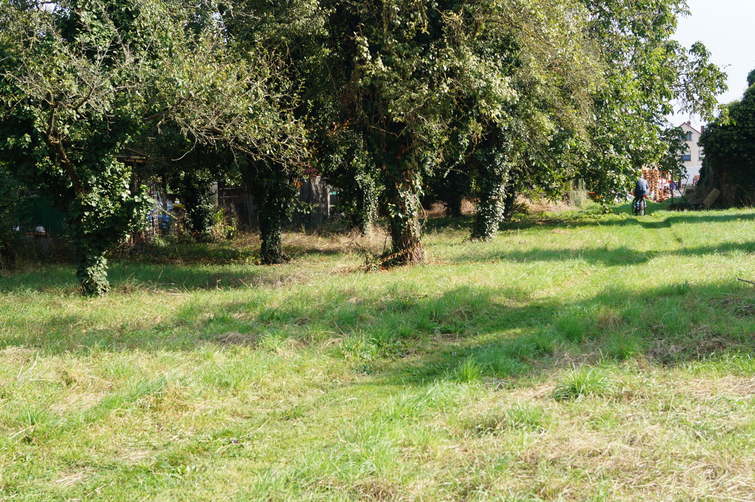 Baugrundstück inmitten von Biebesheim