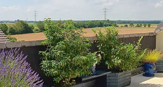 von_poll_real_estate_property_25223009_image_12