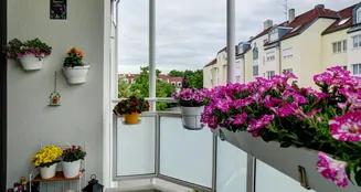 von_poll_real_estate_property_25036034_image_5