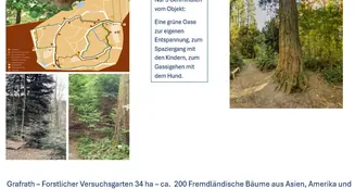 von_poll_real_estate_property_25036020_image_7