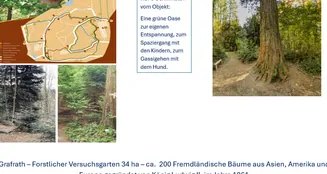 von_poll_real_estate_property_25036021_image_7