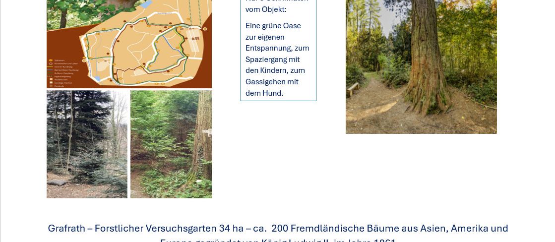 Lagevorteil