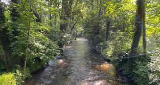 von_poll_real_estate_property_25036029_image_21