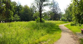 von_poll_real_estate_property_25036029_image_23
