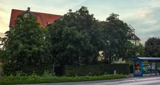 von_poll_real_estate_property_25036038_image_11