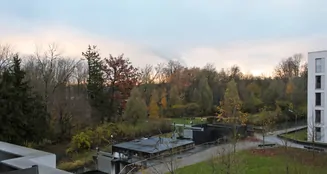 von_poll_real_estate_property_25036042_image_7