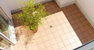 von_poll_real_estate_property_25036016_image_15