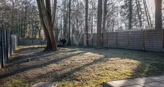 von_poll_real_estate_property_25087031_image_7