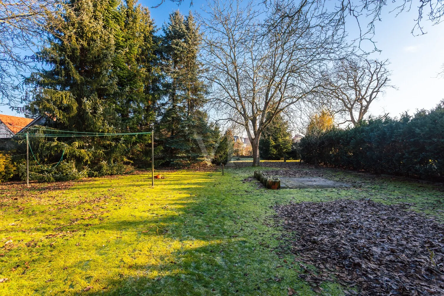 Blick in weitläufigen Garten