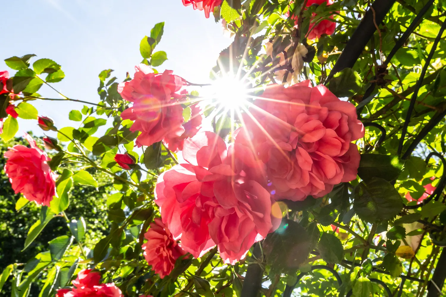 Sonniges Grundstück