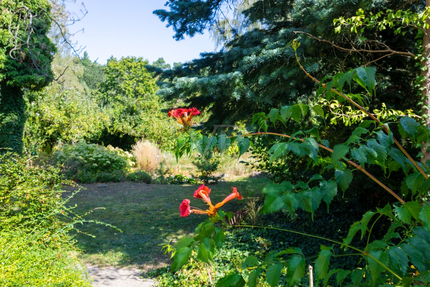 Blick in den grünen Garten