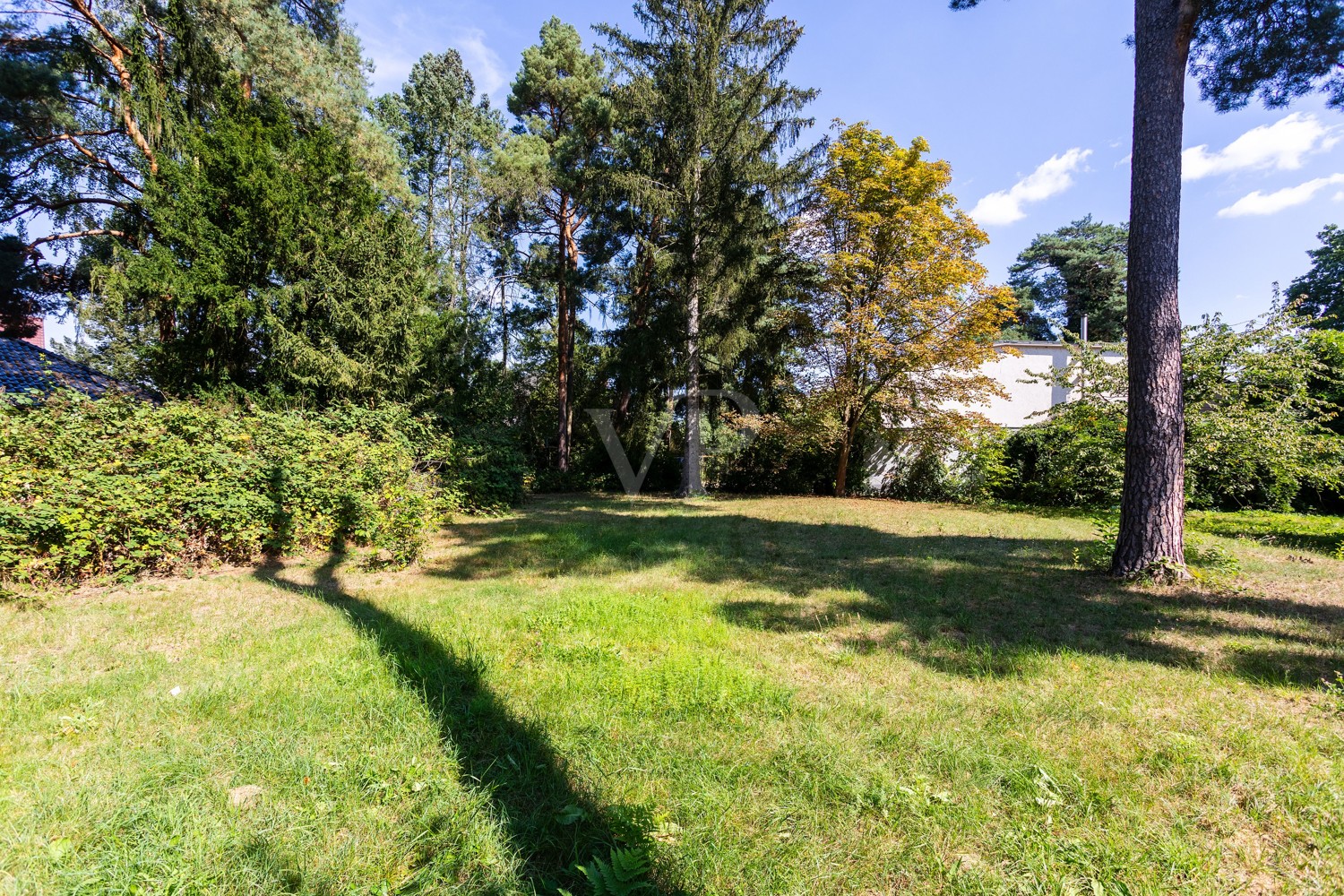 Viel Platz im Garten