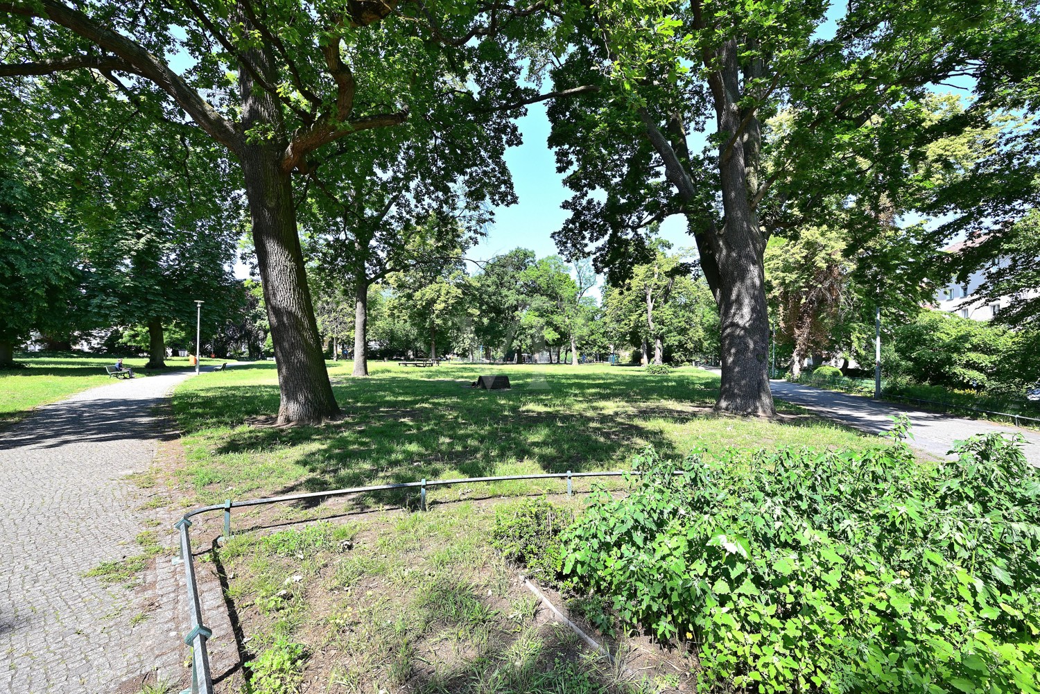 Direkt angrenzender Koeltzepark