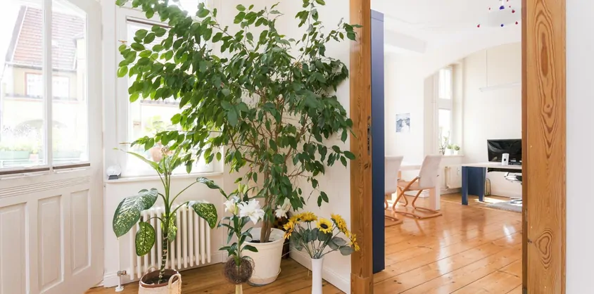 von Poll Immobilien GmbH