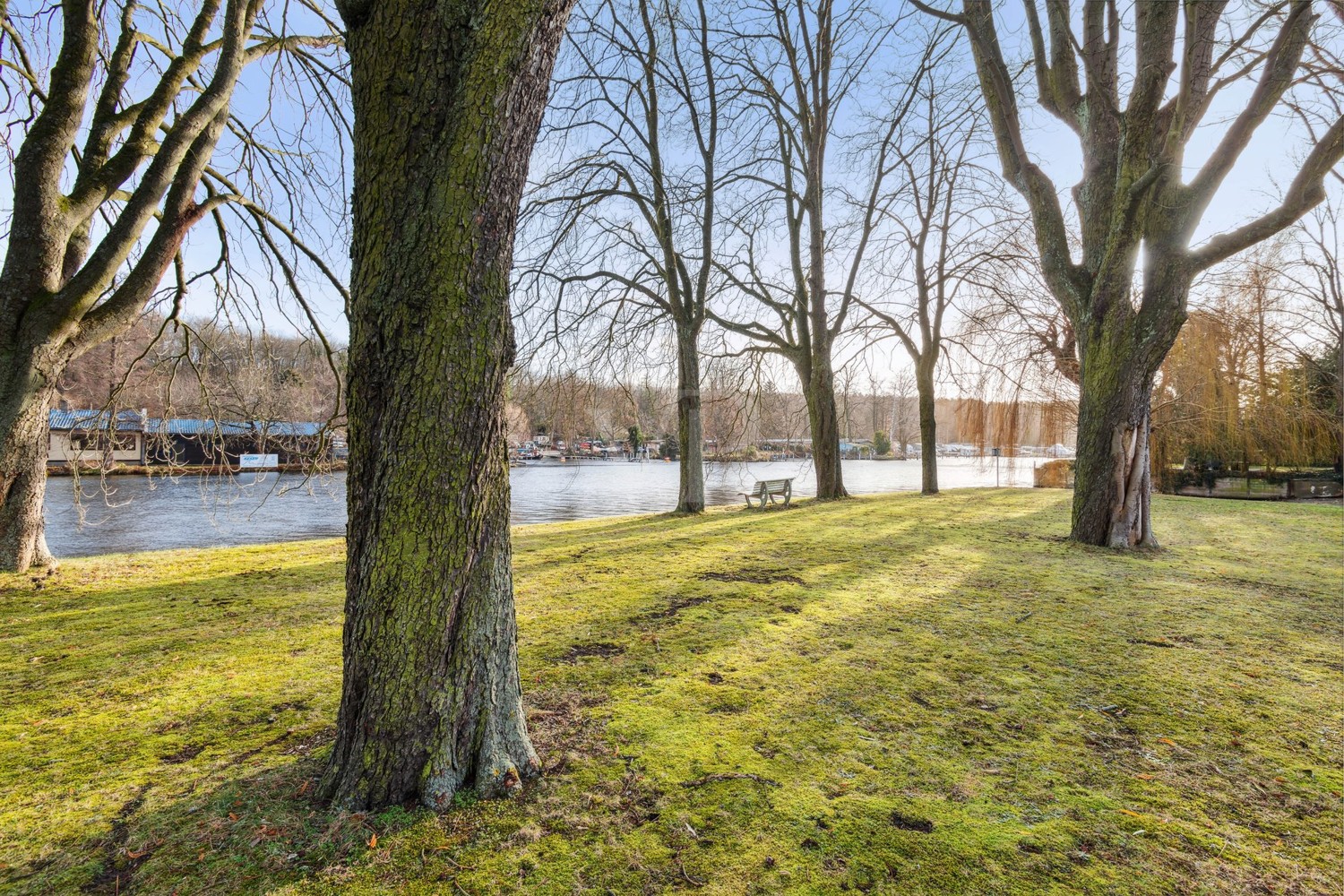 Blick in den Gemeinschaftsgarten und zur Havel