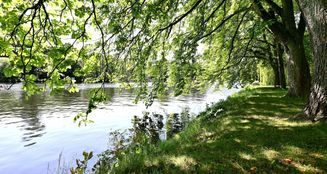 von_poll_real_estate_property_24087039_image_6