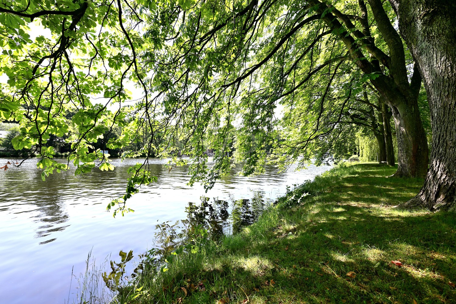 Direkt an der Havel