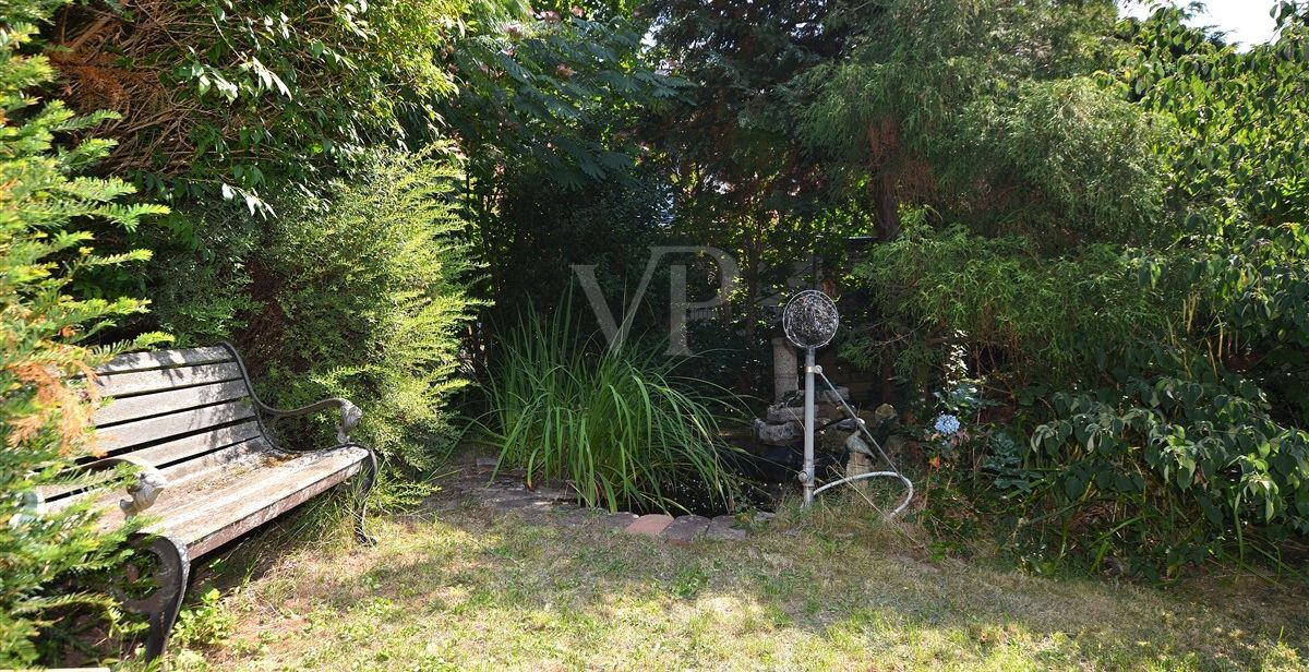 Garten mit Teich