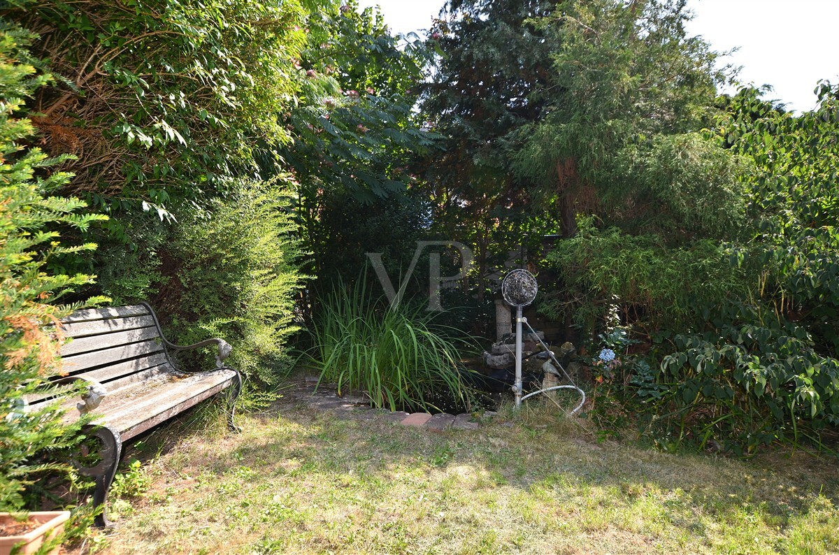 Garten mit Teich