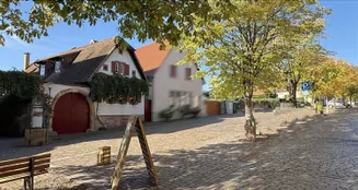 von_poll_real_estate_property_25067031_image_0