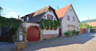 von_poll_real_estate_property_25067031_image_1