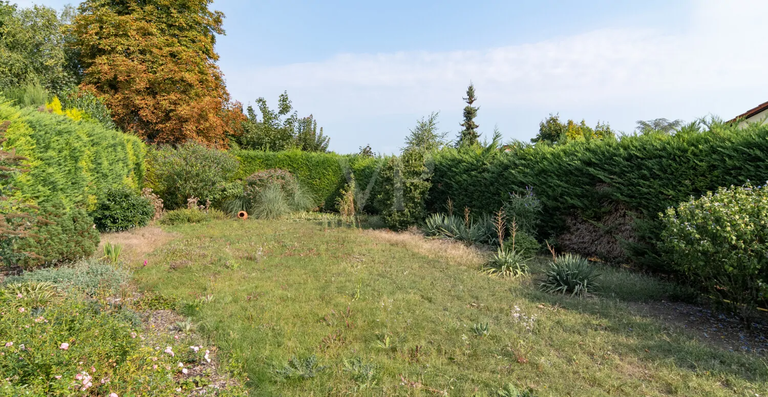 Garten hinter der Halle