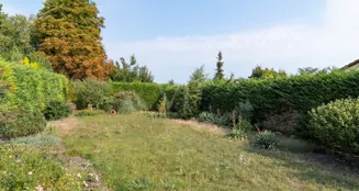 von_poll_real_estate_property_25067023_image_6