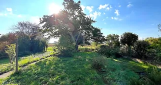 von_poll_real_estate_property_25067033_image_2