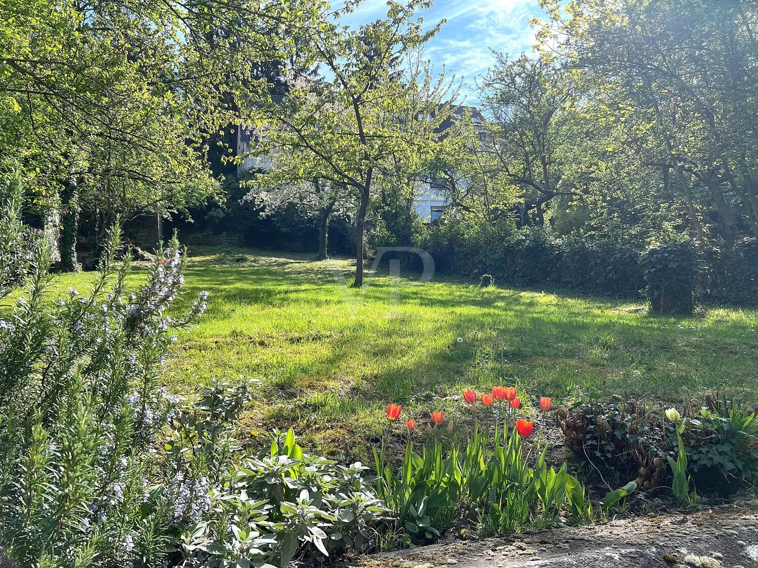 Blick in den Garten