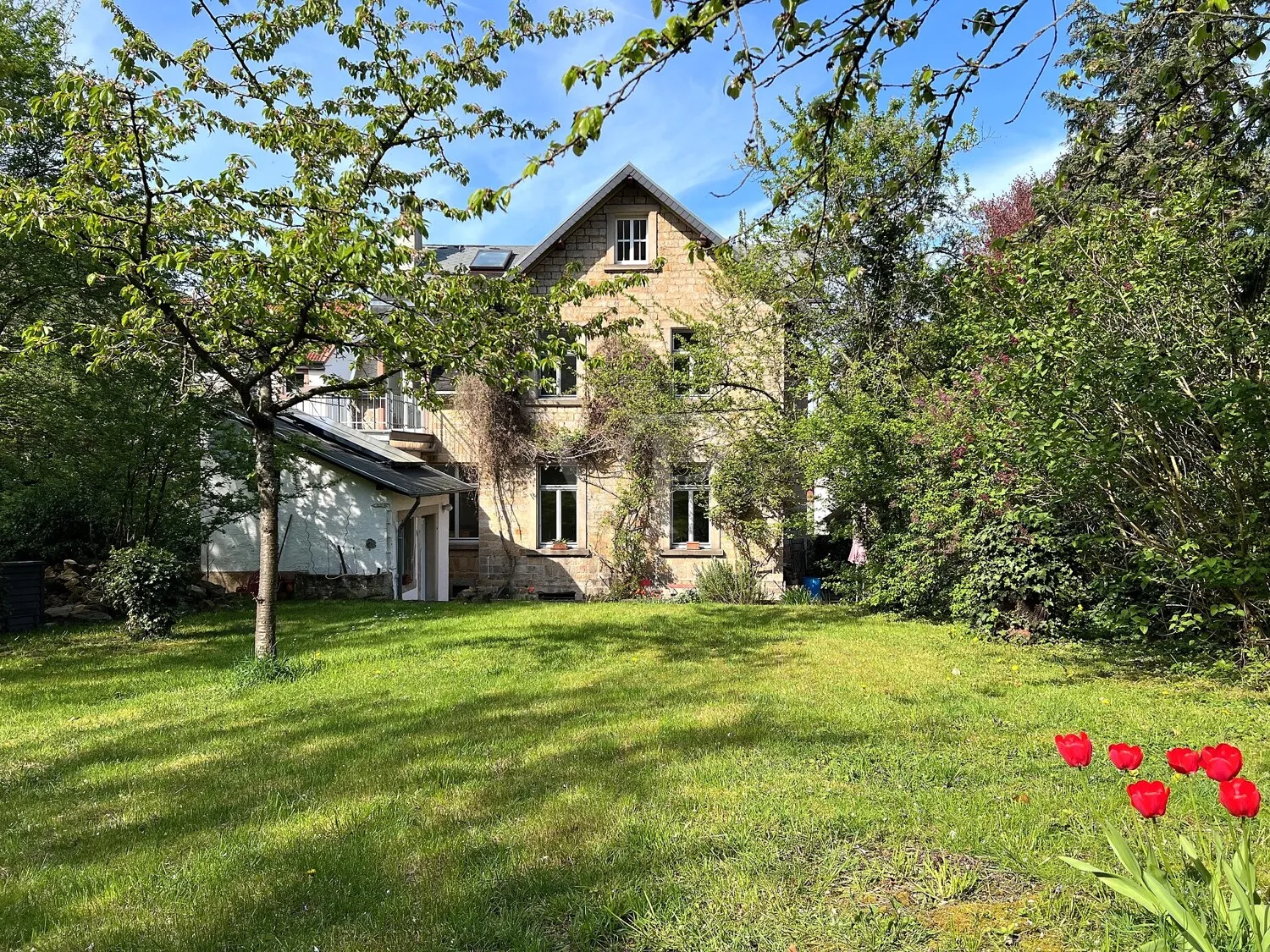 Gartenansicht der Villa