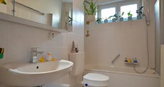 von_poll_real_estate_property_25067036_image_6