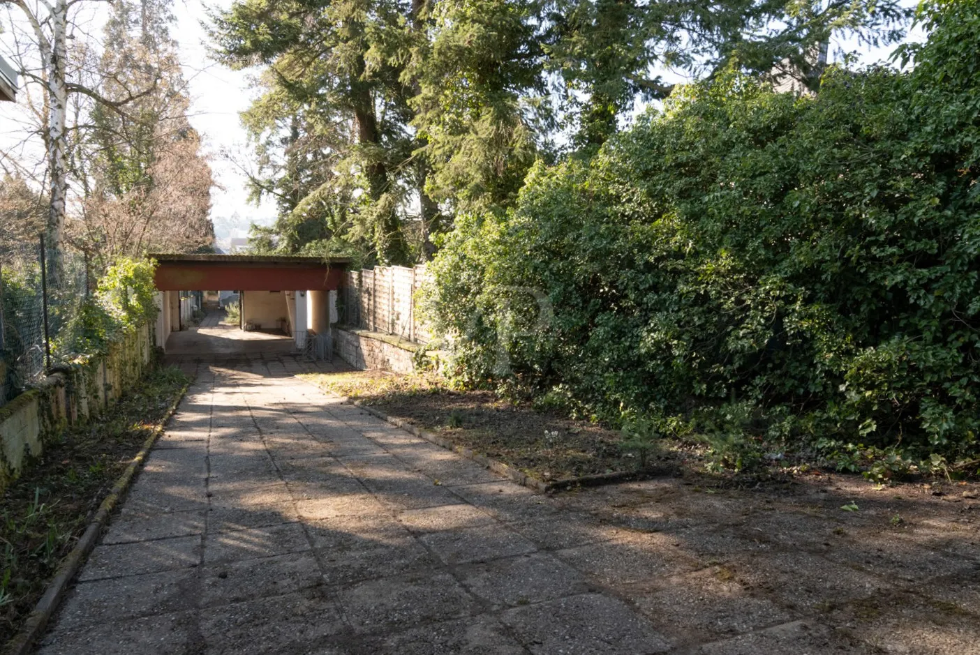 Zufahrt zum Haus