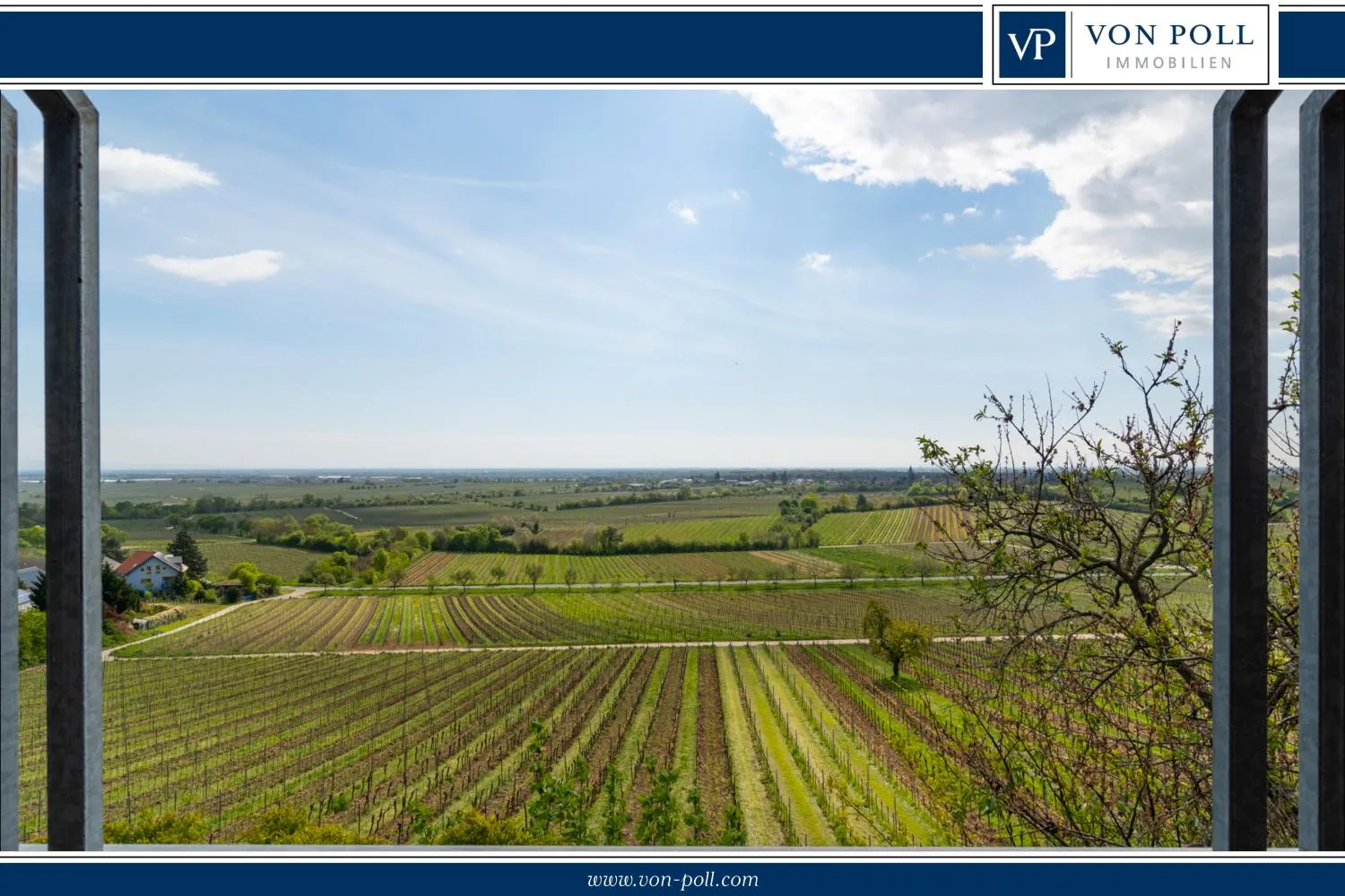 Blick über die Rheinebene