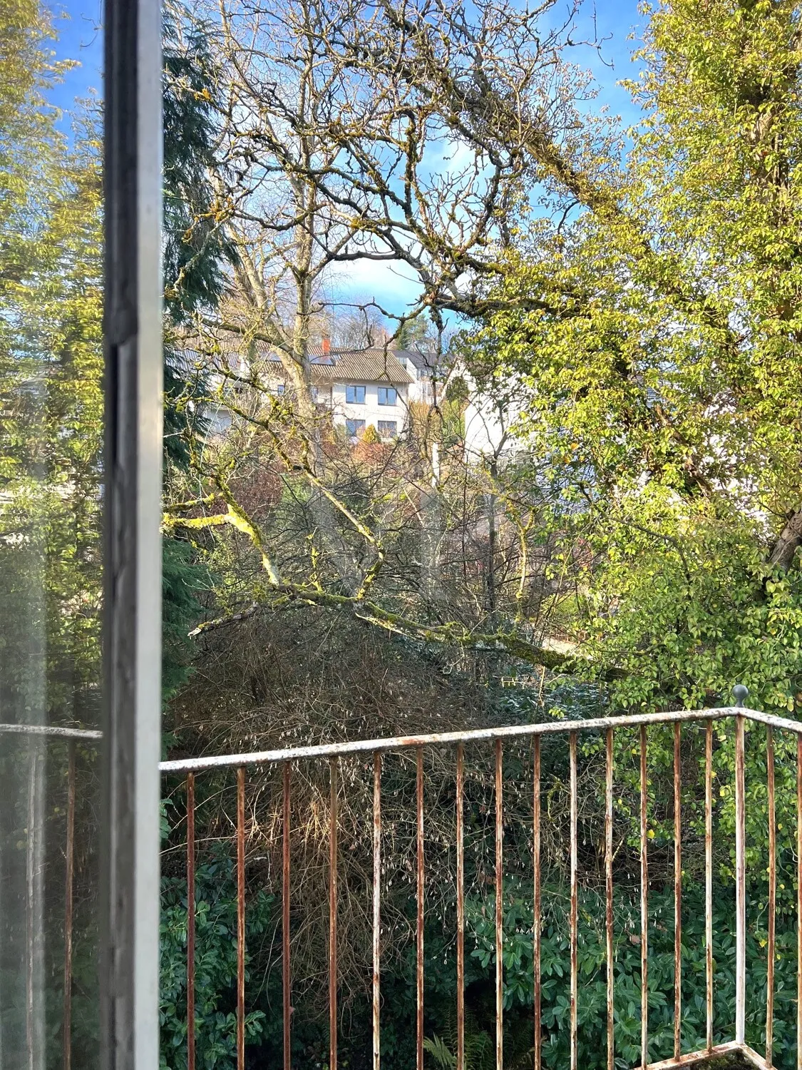 Blick in den Garten vom OG