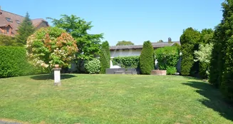 von_poll_real_estate_property_25067012_image_3