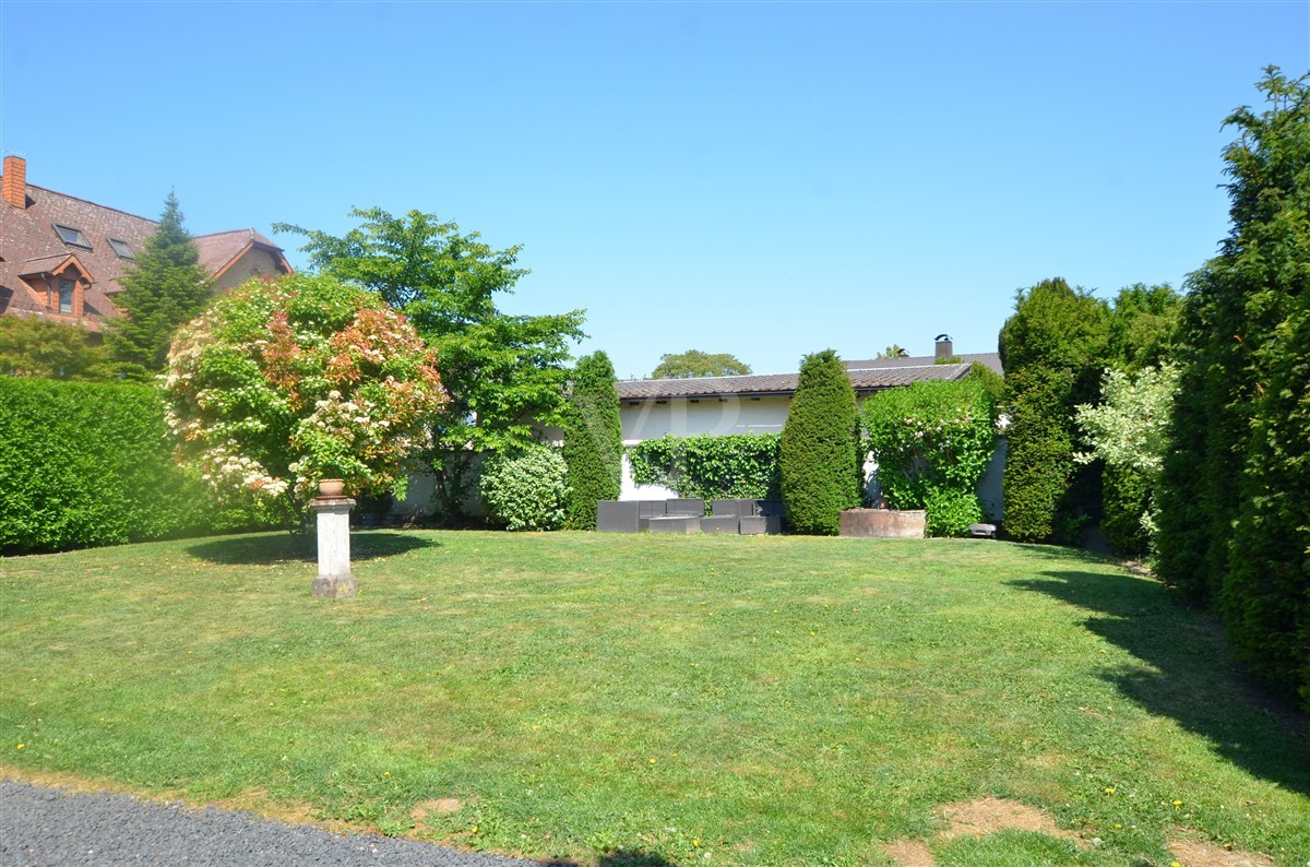 Garten vorm Eingangsbereich des Hauses