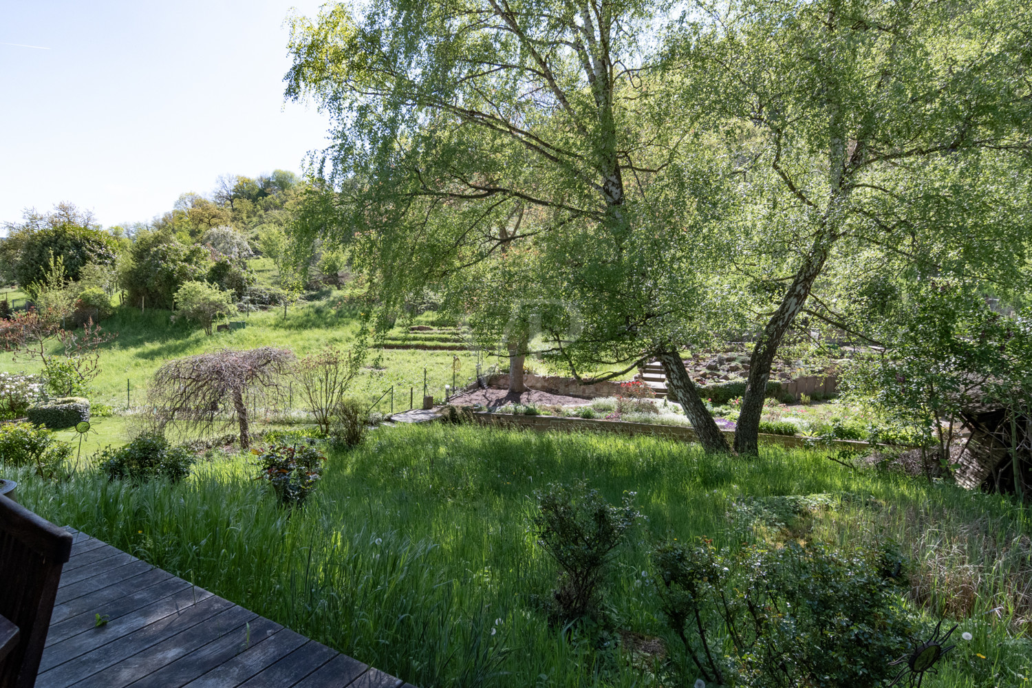 Blick in den Garten