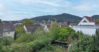 von_poll_real_estate_property_25067006_image_3
